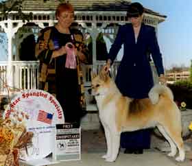 CH Akiko's Amazing Grace